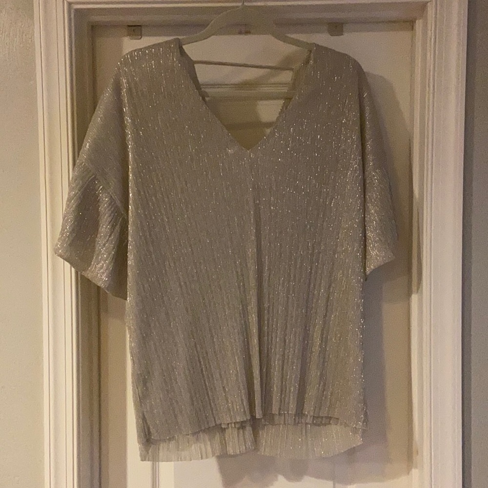 Anthropologie Vanessa Virginia metallic top size M